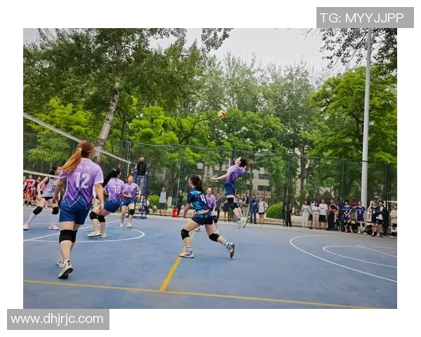 北京排球队灵活性变革引发热议助力球队重塑竞争力与战术创新