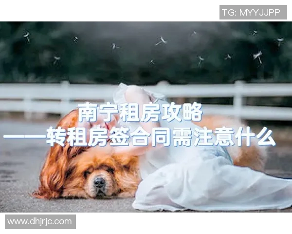 如何选择合适的房屋租赁合同以及租房注意事项全面解析 如何选择合适的房屋租赁合同以及租房注意事项全面解析