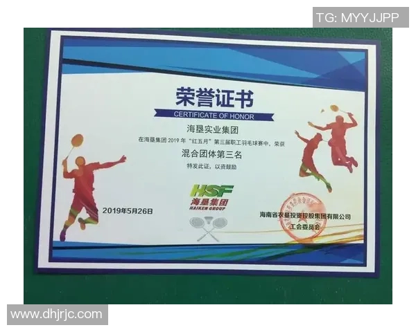 杭州羽毛球队选拔赛点评:意识表现与团队协作的深度分析 杭州羽毛球队选拔赛点评:意识表现与团队协作的深度分析