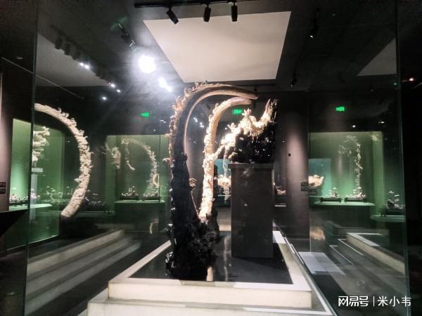 jinnianhui金年会宁夏博物馆展柜大揭秘：绝美文物背后的高科技保护者！(图5)