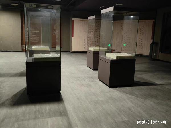 jinnianhui金年会宁夏博物馆展柜大揭秘：绝美文物背后的高科技保护者！(图4)