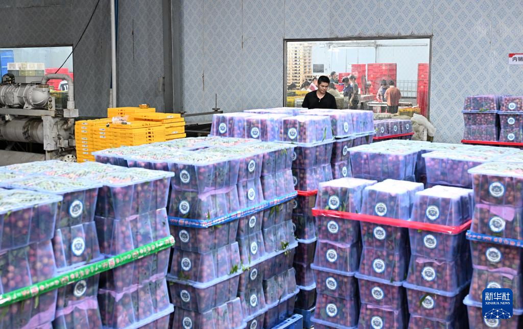 金年会vipcontent=te(图7)